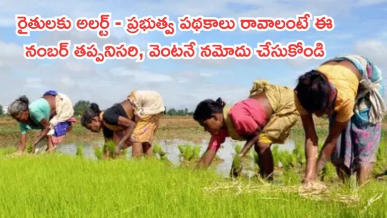 Farmer Uid Registration 2025